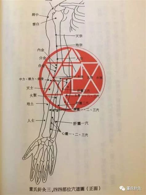 三金穴|分金穴、合金穴、內金穴 